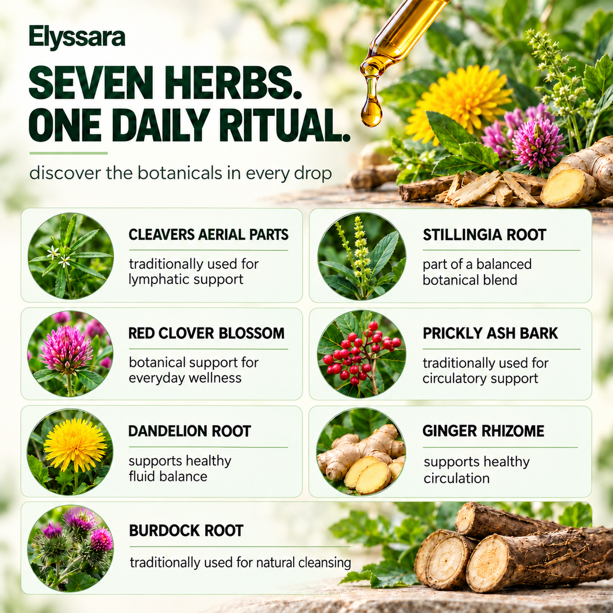 Elyssara Herbal Sublingual Drops