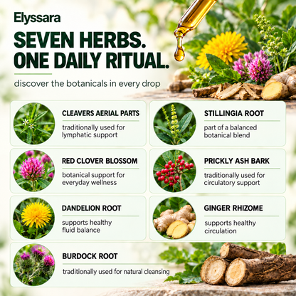 Elyssara Herbal Sublingual Drops