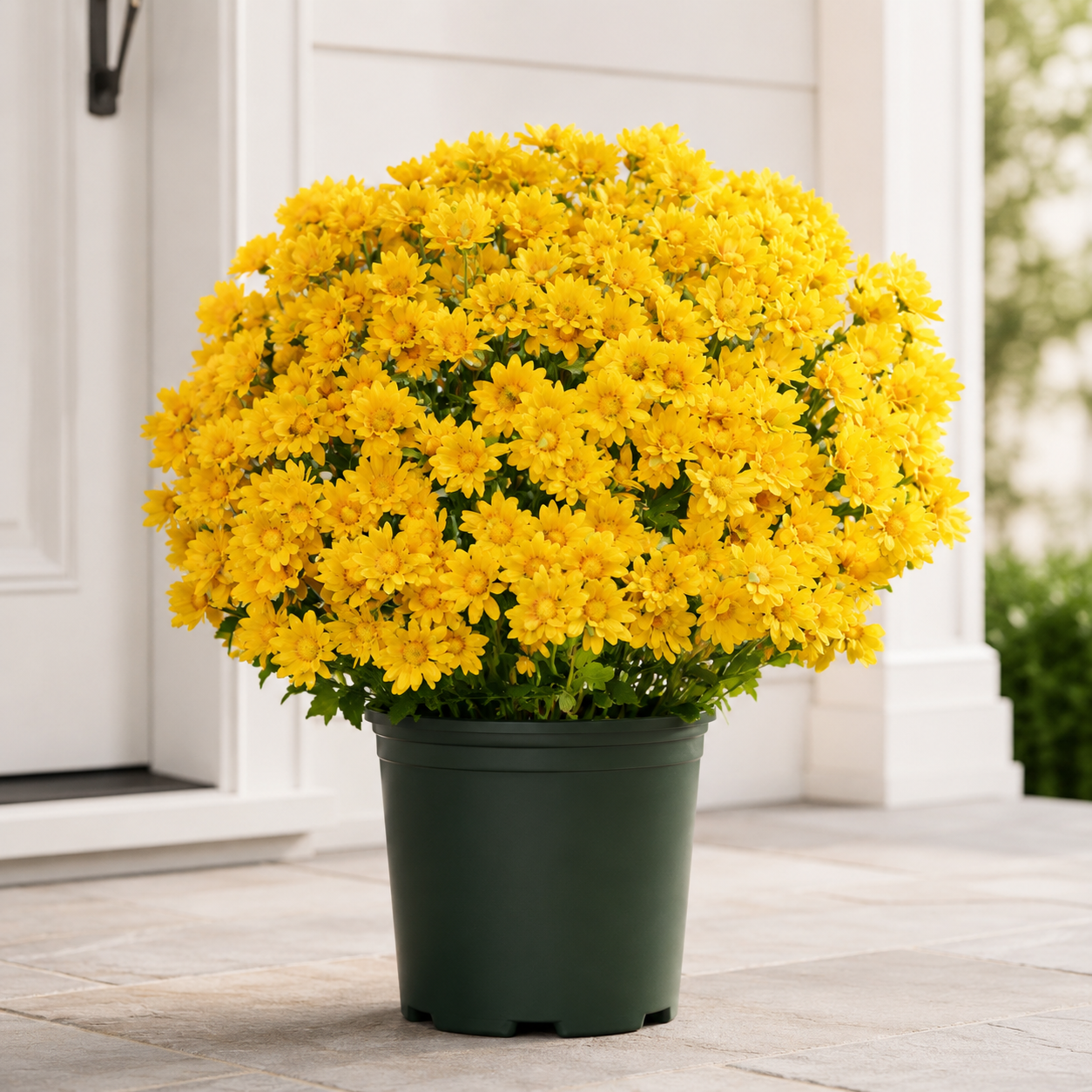 🌼- Artificial Outdoor Sunset Mums Flowers - UV resistant, Waterproof, Windproof