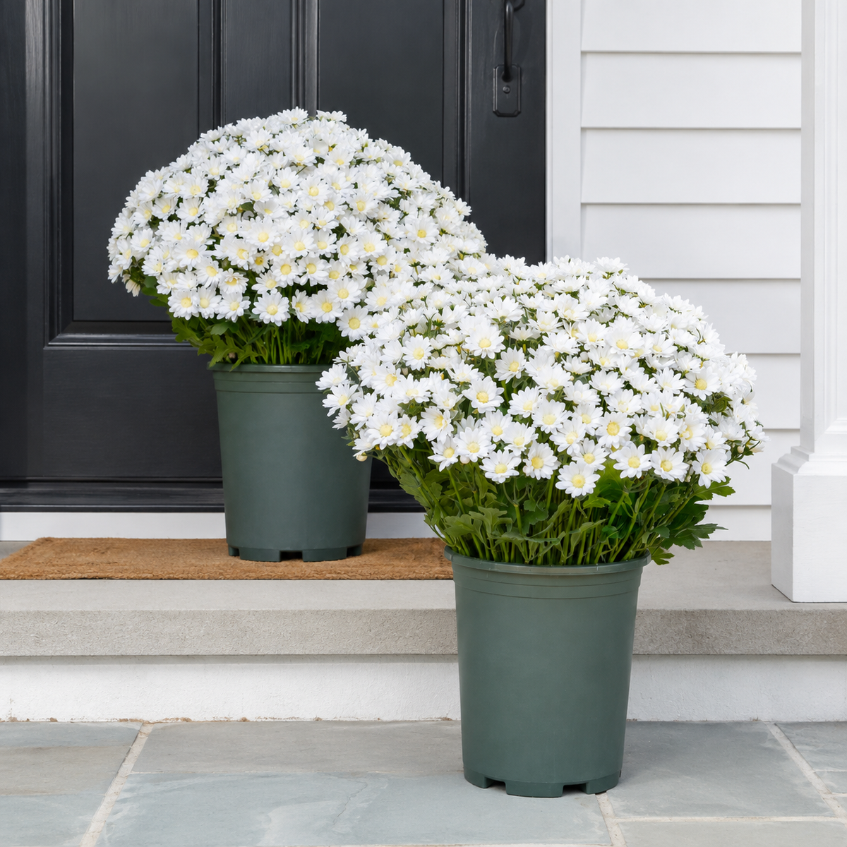 🌼- Artificial Outdoor Sunset Mums Flowers - UV resistant, Waterproof, Windproof