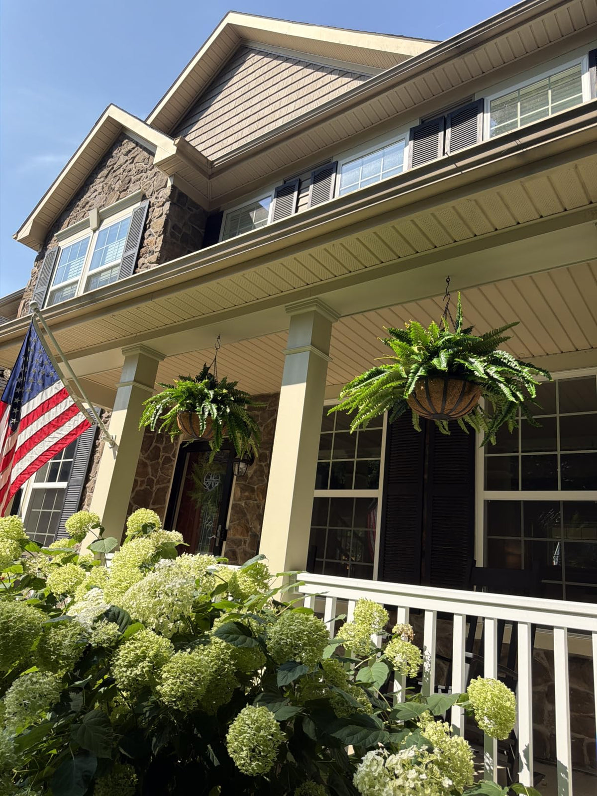 Oversized Pre-Lit Artificial Boston Ferns with cascading green foliage and warm decorative lights