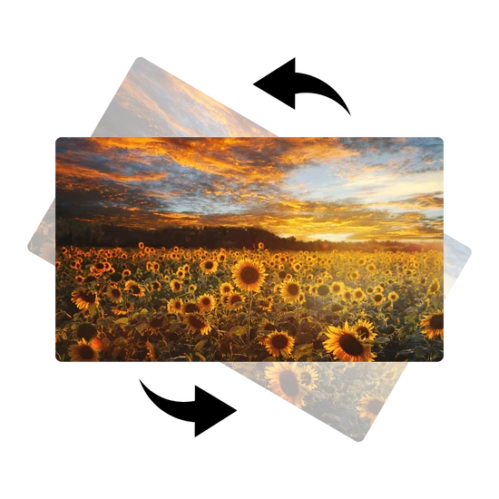 Auto Adjust Image