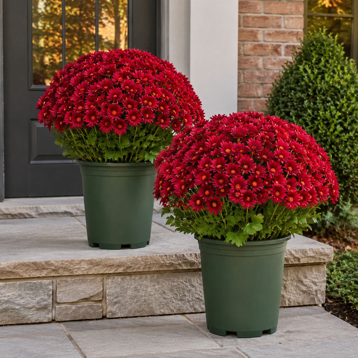 🌼- Artificial Outdoor Sunset Mums Flowers - UV resistant, Waterproof, Windproof